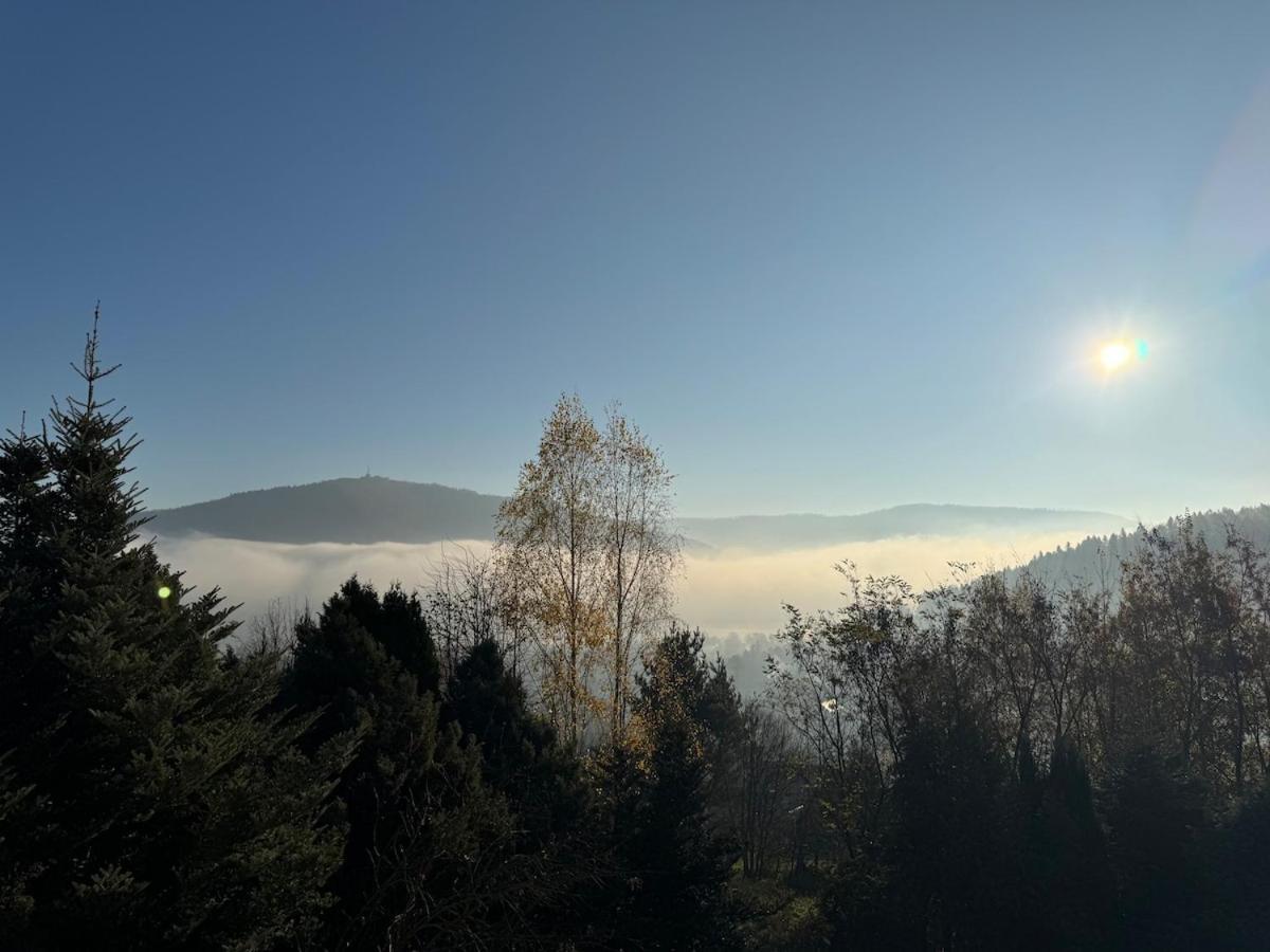 Dom W Gorach Saganowka Beskidy Villa Międzybrodzie Bialskie Esterno foto